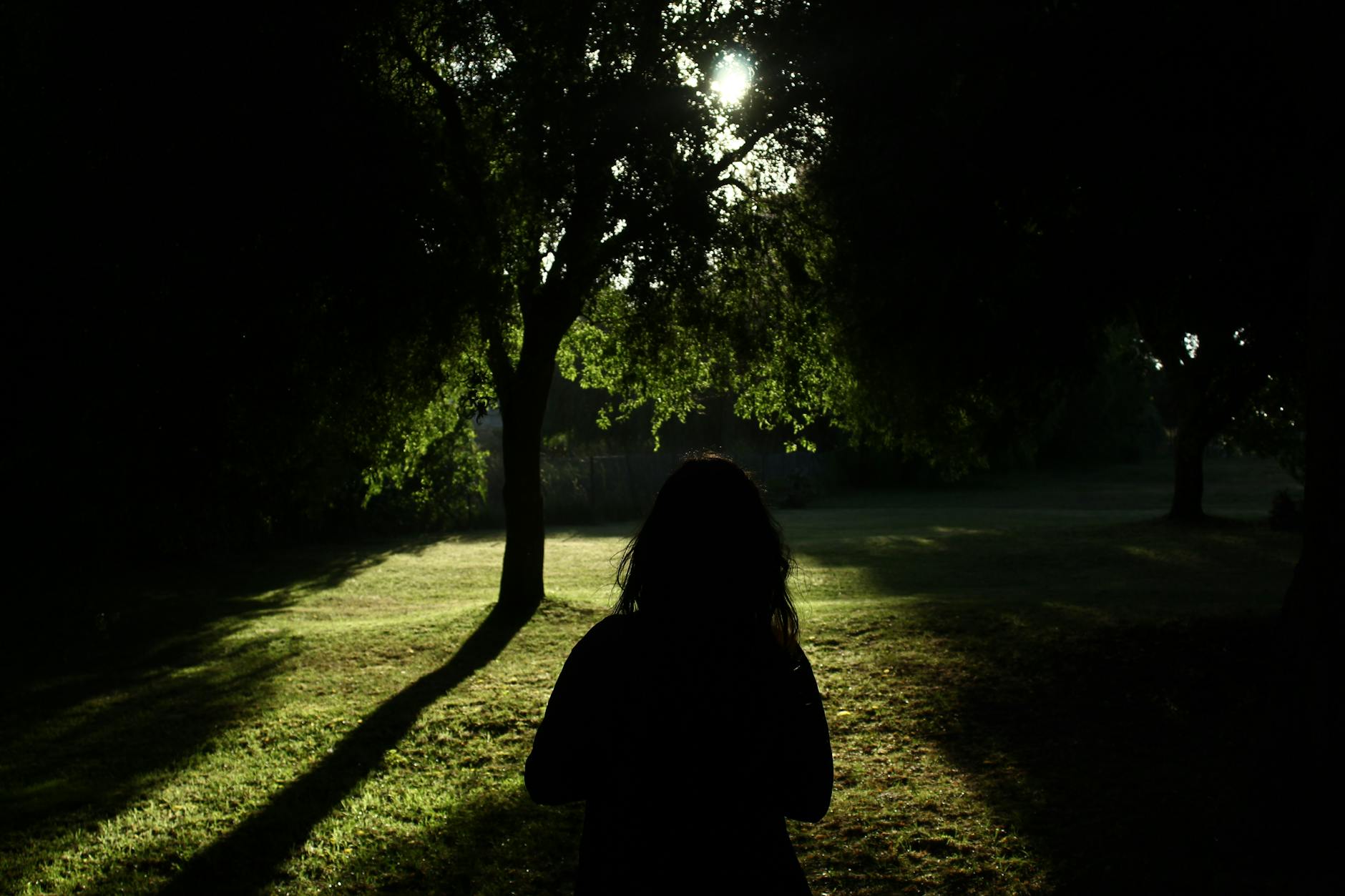 silhouette of person standing near trees